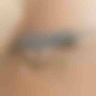 Телескопична прахочистачка | ARTICLEAN