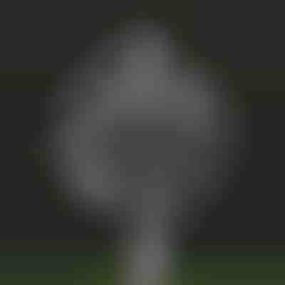 Градинска магическа кинетична вятърна въртележка| WINDARA