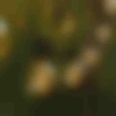 LED лампички за осветление | YARDBULBS