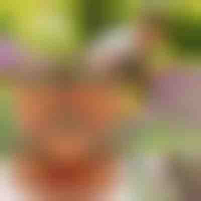 Саксии за вертикално подреждане | PLANTUP