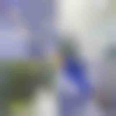 Приставка за почистване под високо налягане | WATERJET